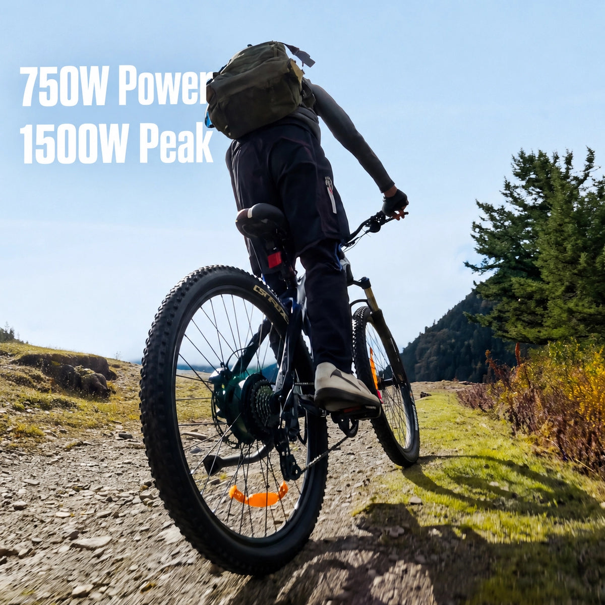 HX Q5 Shark Electric Bike
