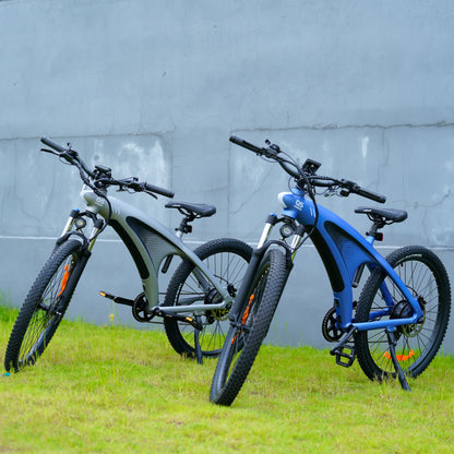 HXeBike Shark Mako Electric Mountain Bike