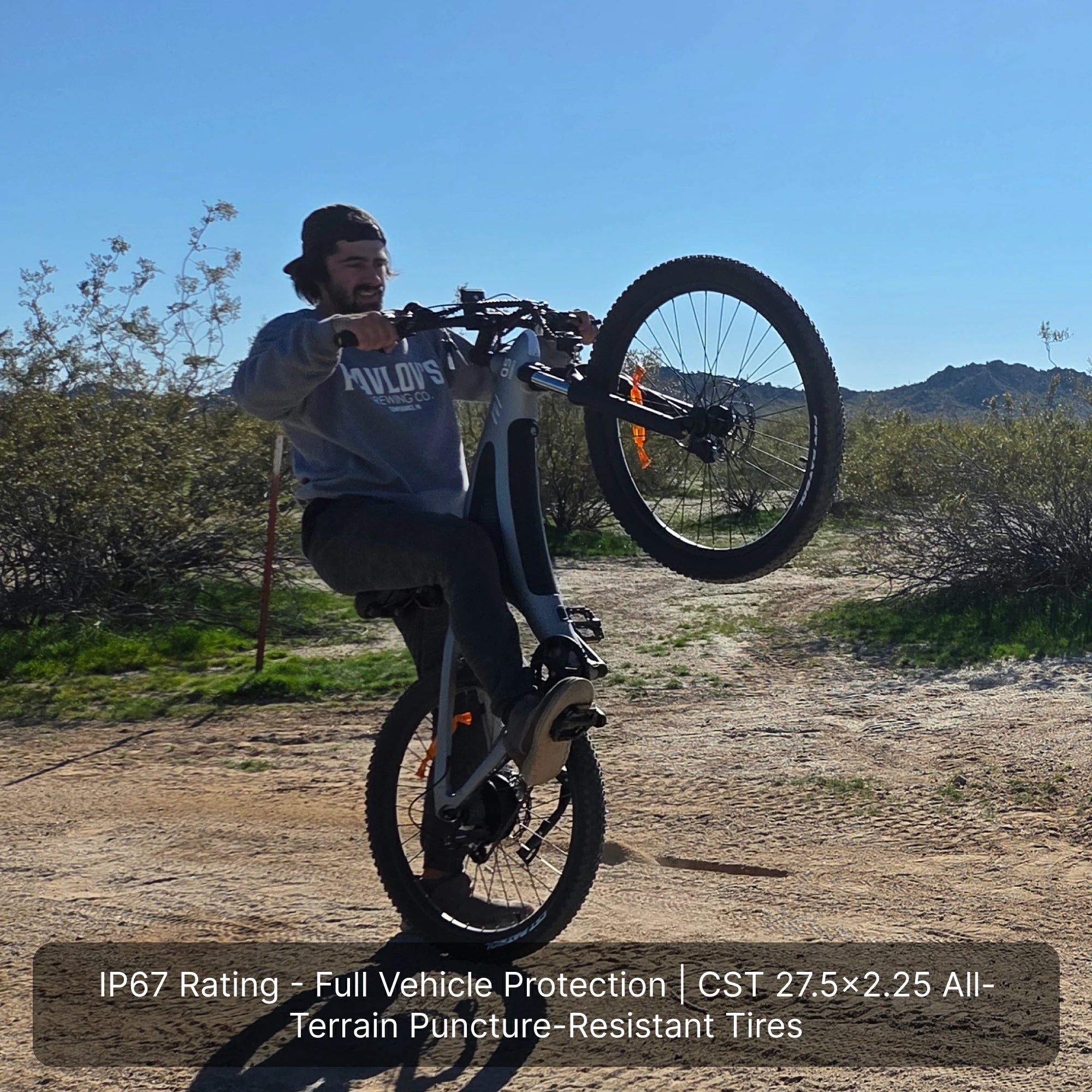 HXeBike Shark Mako Electric Mountain Bike