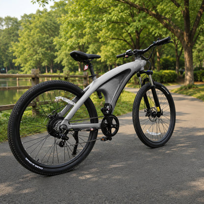 HX Q5 Shark Lite Electric Bike-48V 13Ah 1000W