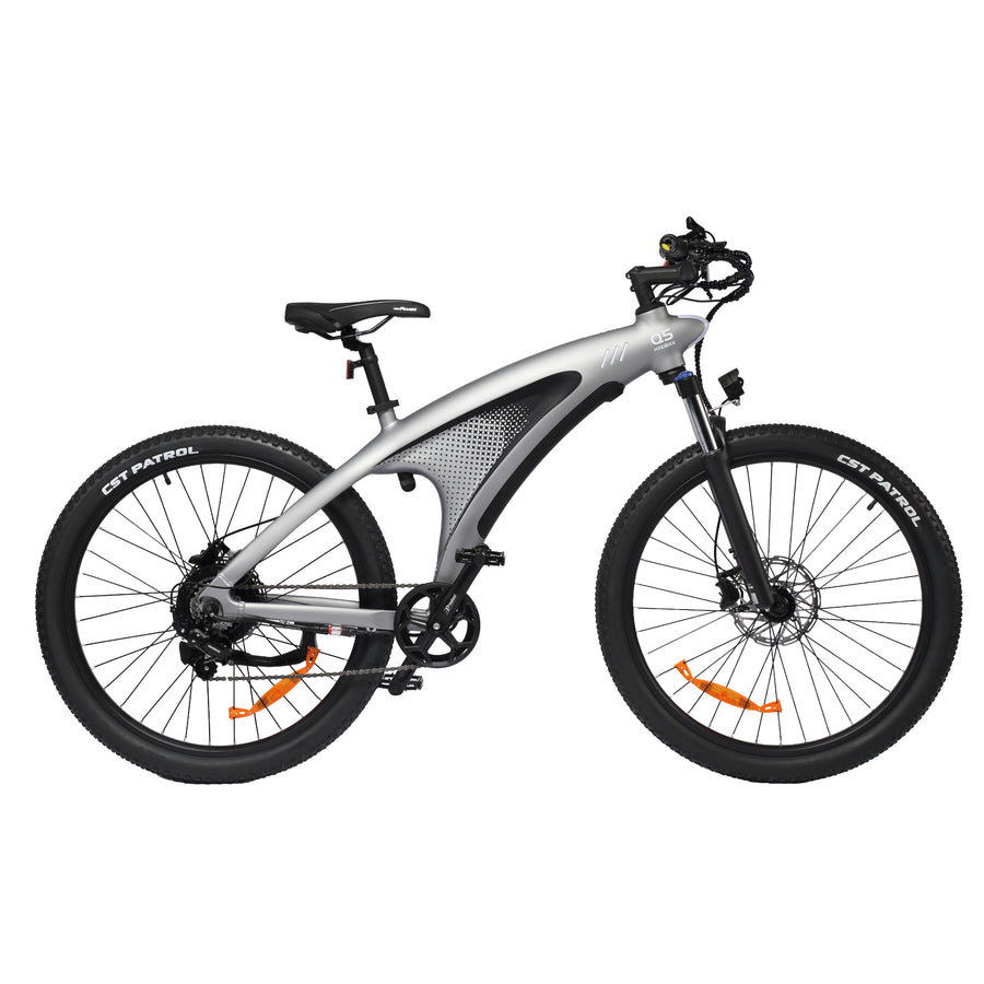 HX Q5 Shark Electric Bike