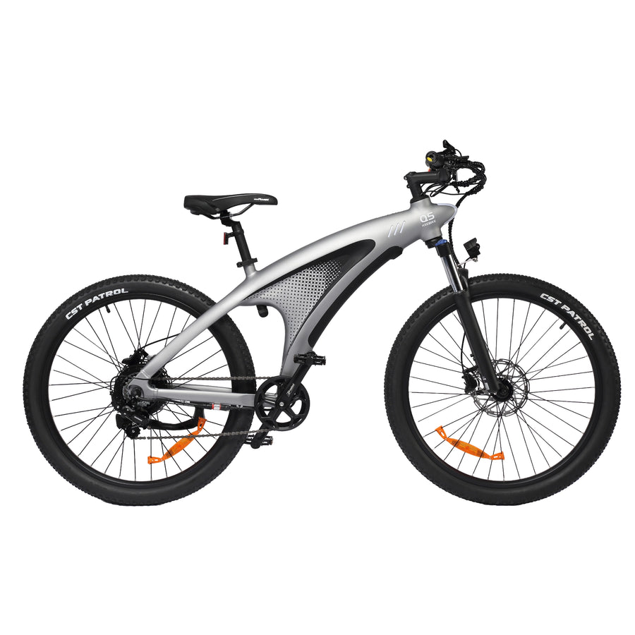 HX Q5 Shark Electric Bike