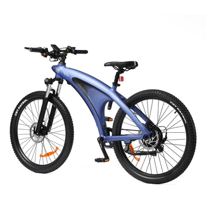 HX Q5 Shark Electric Bike