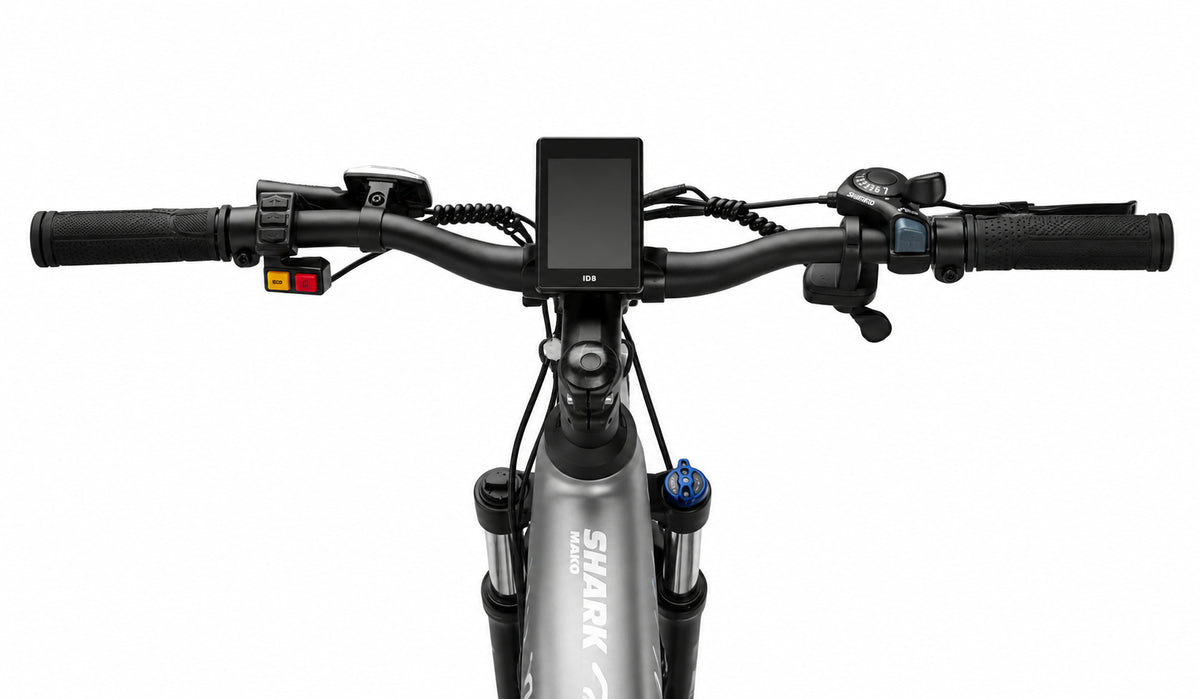 HX Q5 Shark Electric Bike
