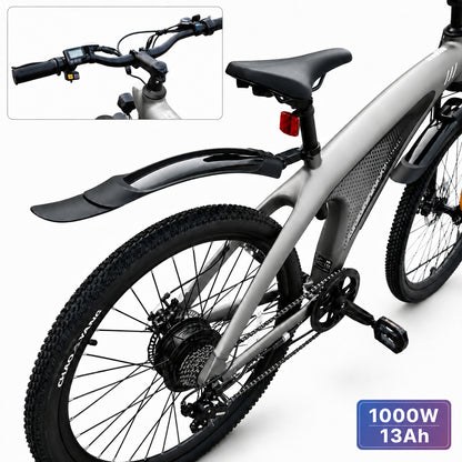 HX Q5 Shark Electric Bike